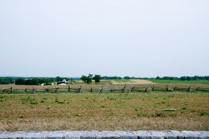 The Cornfield today.