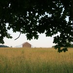 McPhearson's barn, as seen looking north from Herbst's woods.