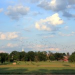 The Lutheran seminary, as seen from McPhearson's Ridge.