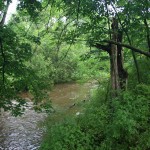 Willoughby Run in 2009, running high from heavy rains.